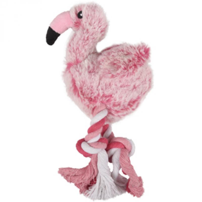 Andes flamingo - Andes flamingo