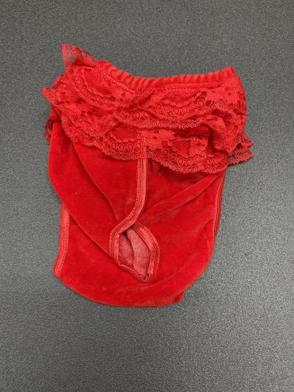 Panties red lace - Panties red lace