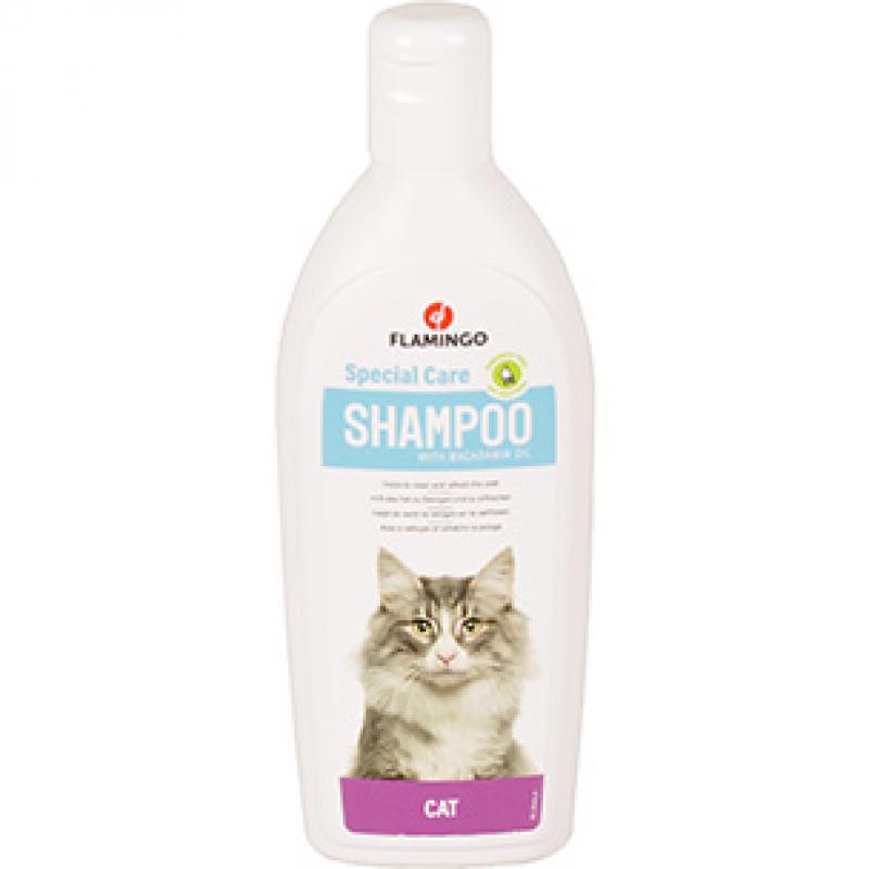 Shampoo  - Shampoo 