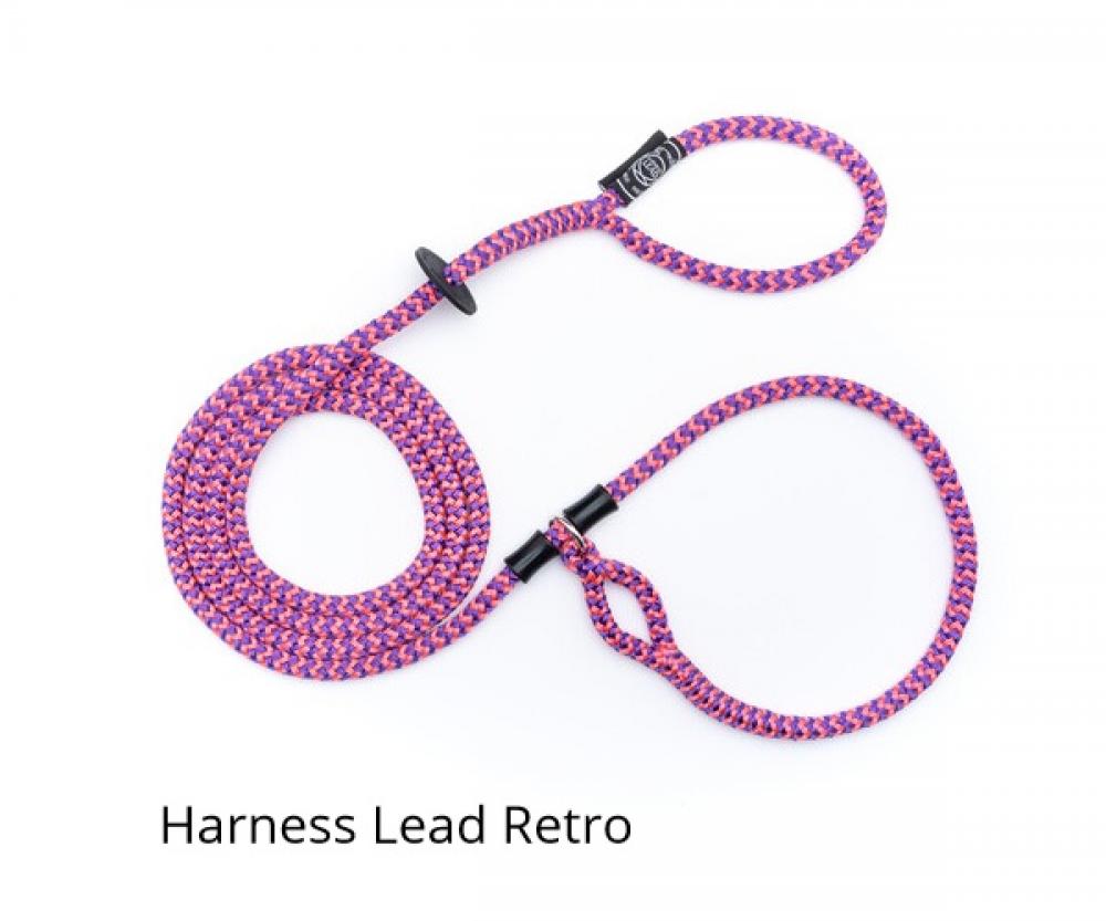 Harness lead - Harness lead
