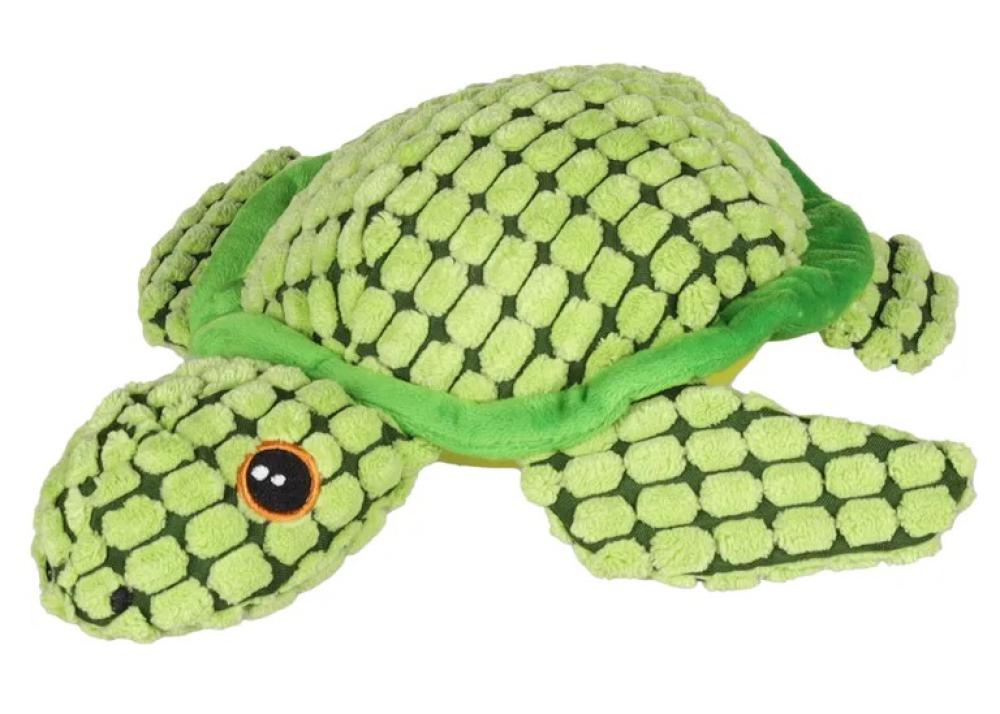 Ceano schildpad - Ceano schildpad