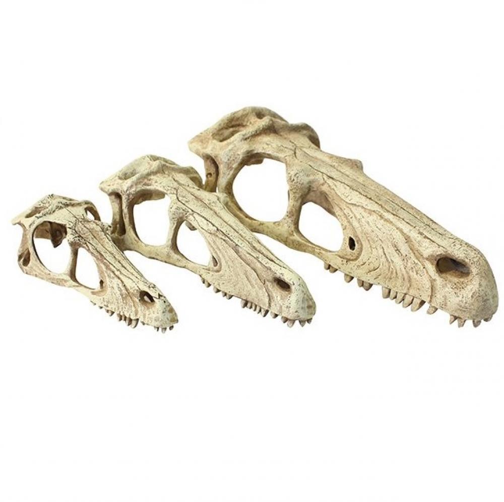 Komodo - dinosaurus skull raptor - Komodo - dinosaurus skull raptor