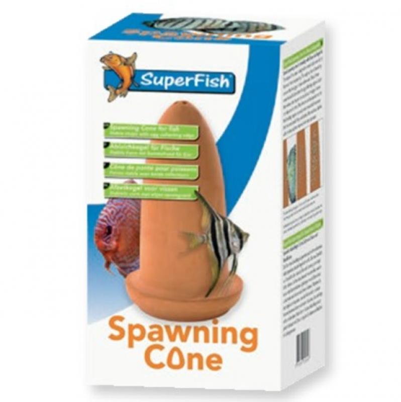 Spawning cone - Spawning cone