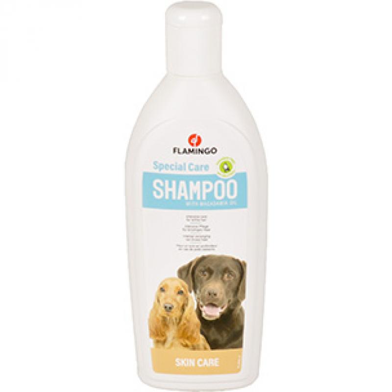 Shampoo  - Shampoo 