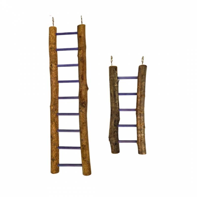 Ladder BZN - Ladder BZN