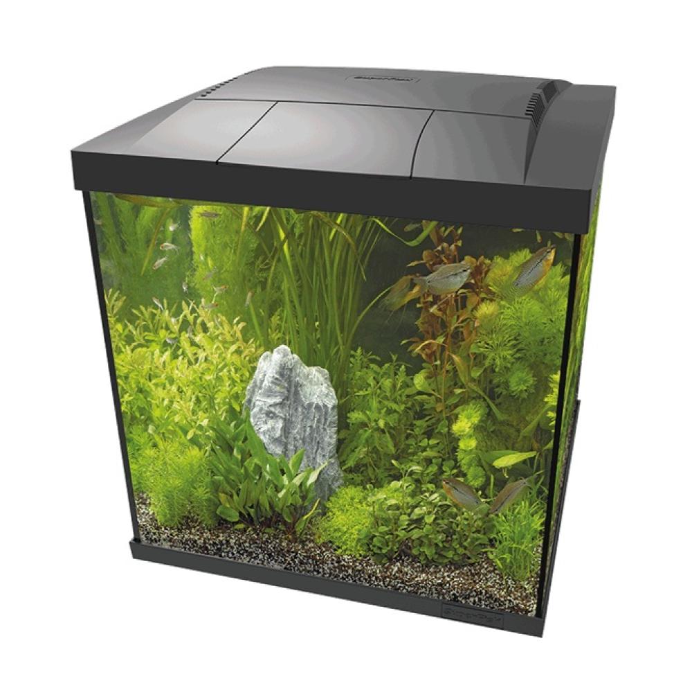 Aquarium SuperFish - Aquarium SuperFish