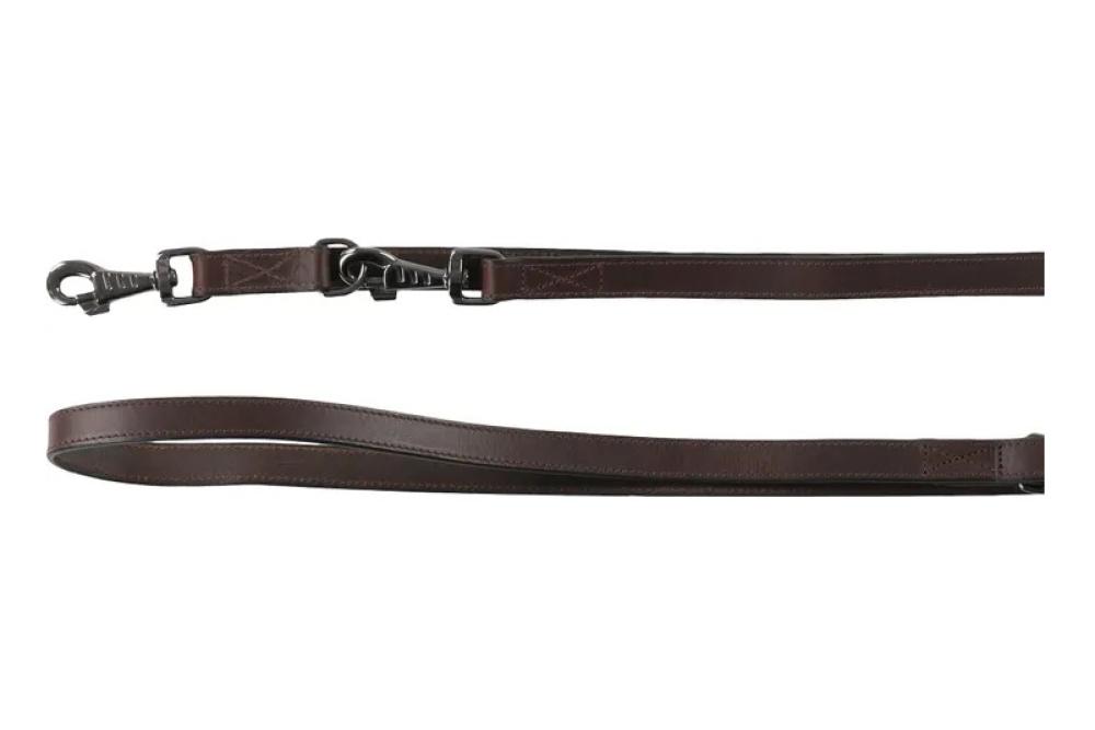 Denver bruin trainingslijn - Denver bruin trainingslijn