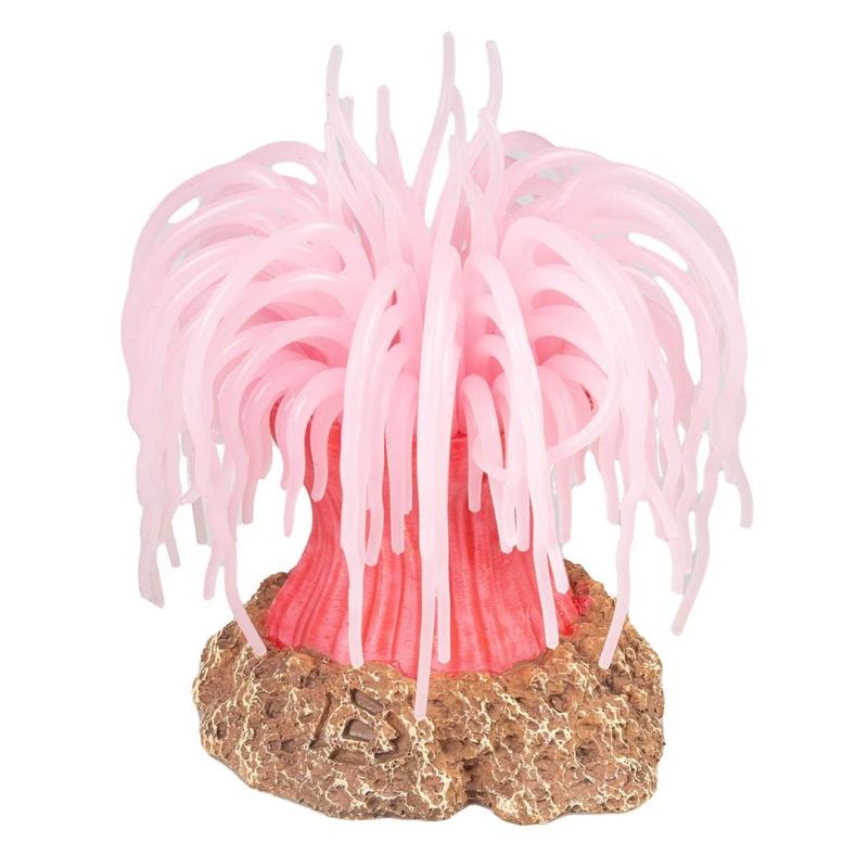 Deco Aqua Della - Deco Aqua Della