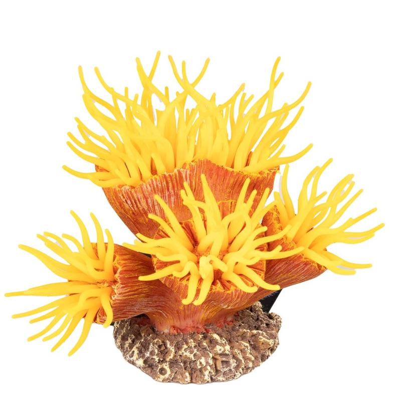 Deco Aqua Della - Deco Aqua Della