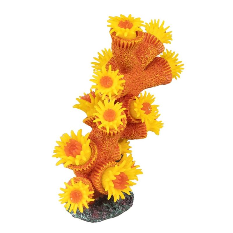 Deco Aqua Della - Deco Aqua Della