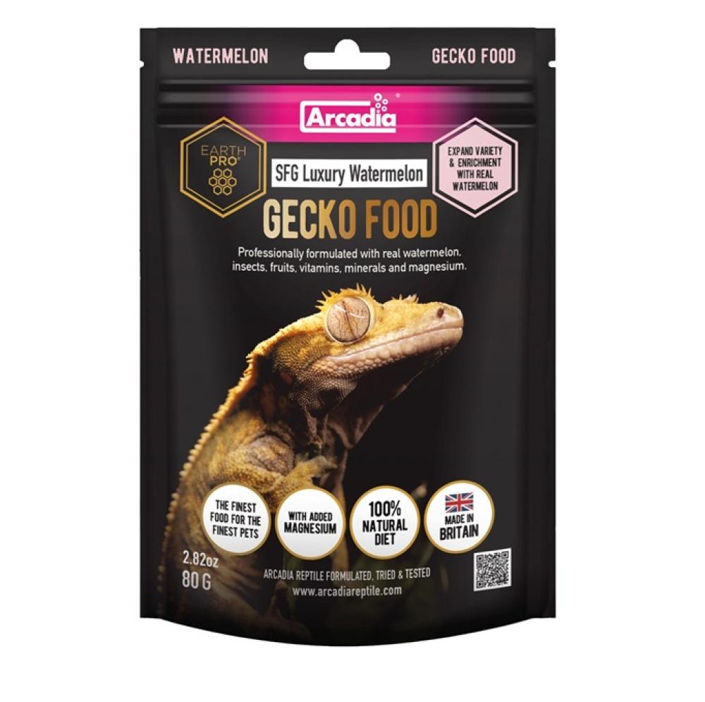 Arcadia Earth Pro - Arcadia Earth Pro