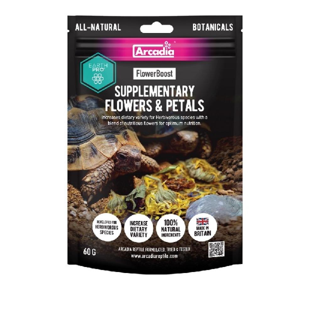 Arcadia Earth Pro - Arcadia Earth Pro