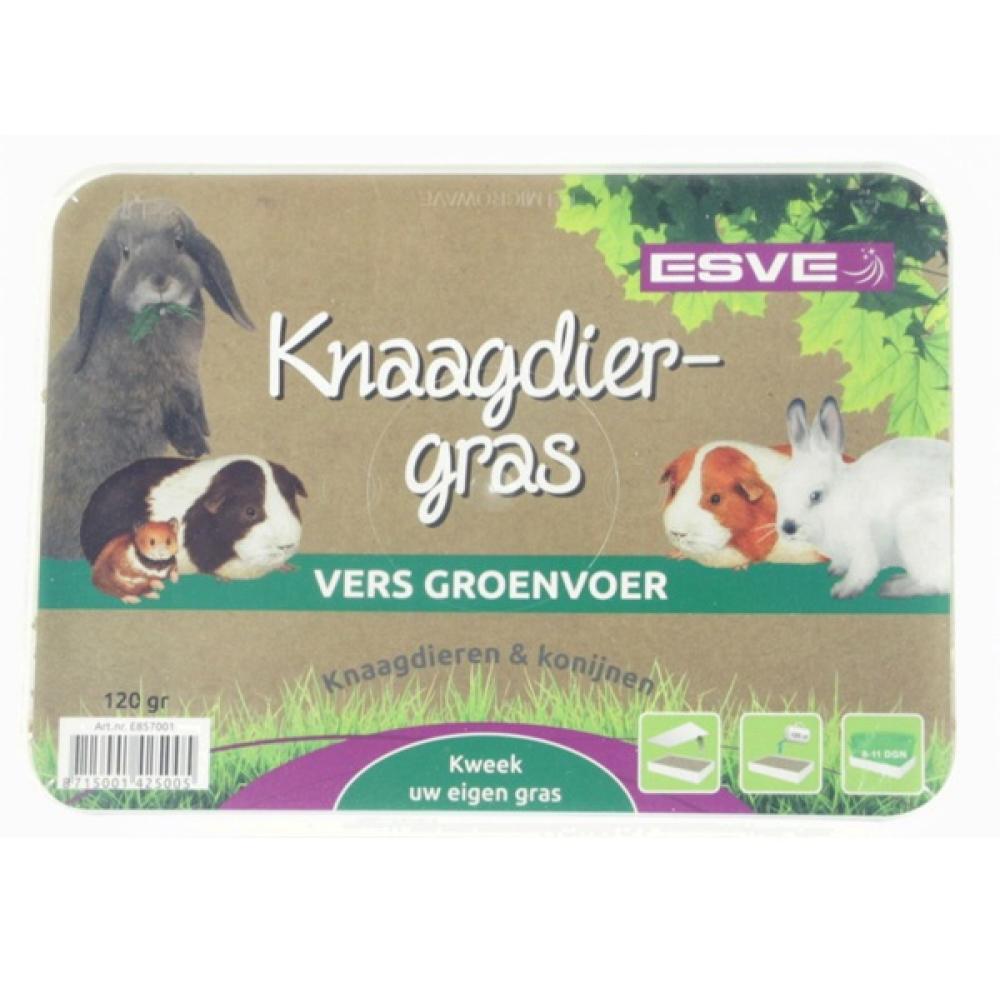 Esve Knaagdiergras - Esve Knaagdiergras